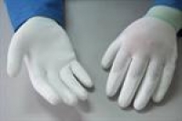 Normal Palm Coating Fit Gloves